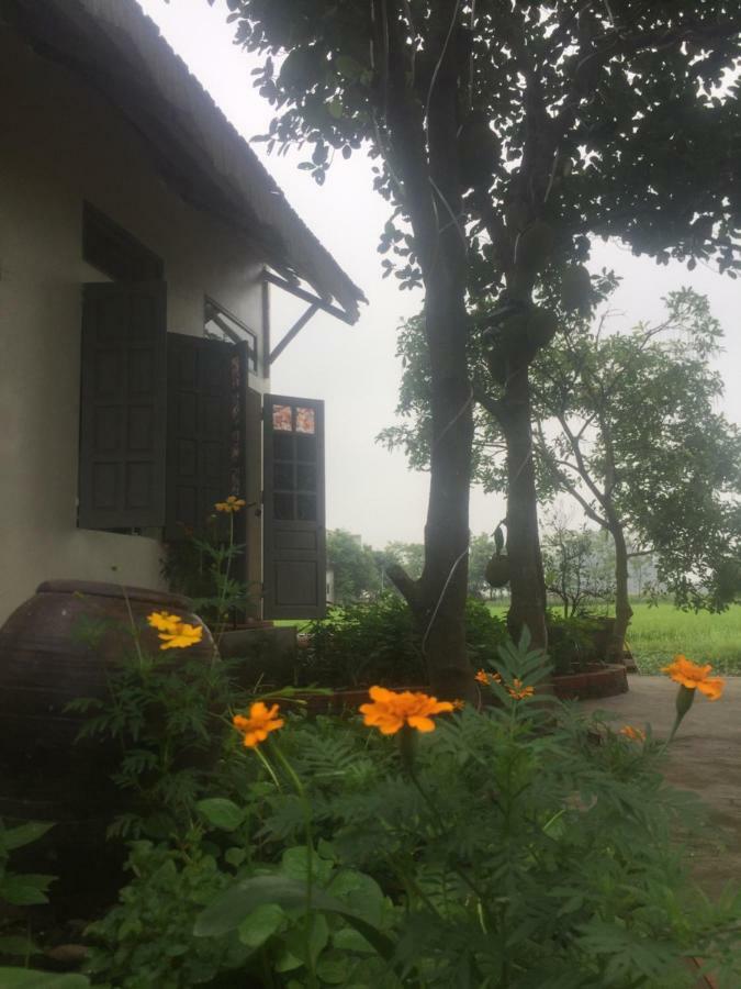 Hang Mua Happiness Homestay นิญบิ่ญ ภายนอก รูปภาพ